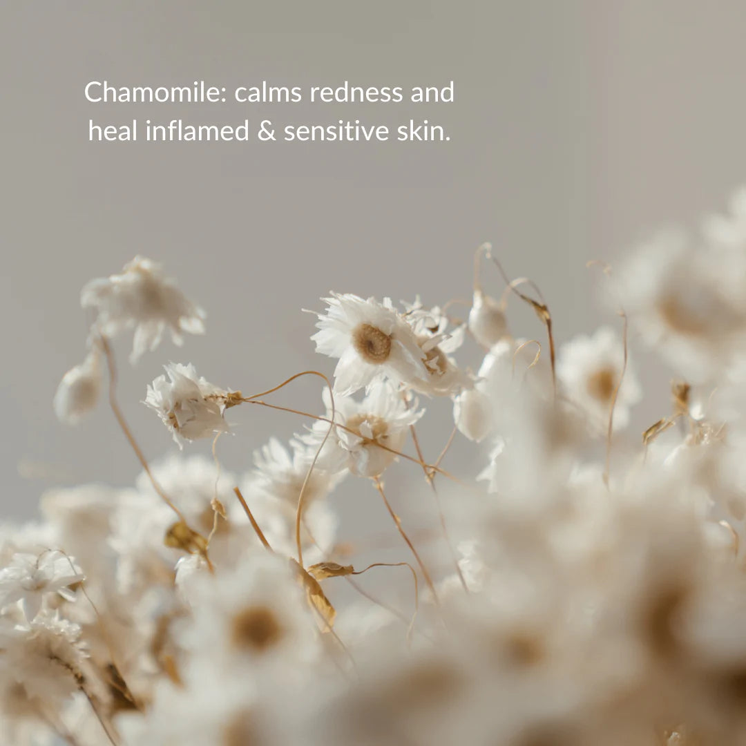 'The Duo' Cleanse + Moisturise