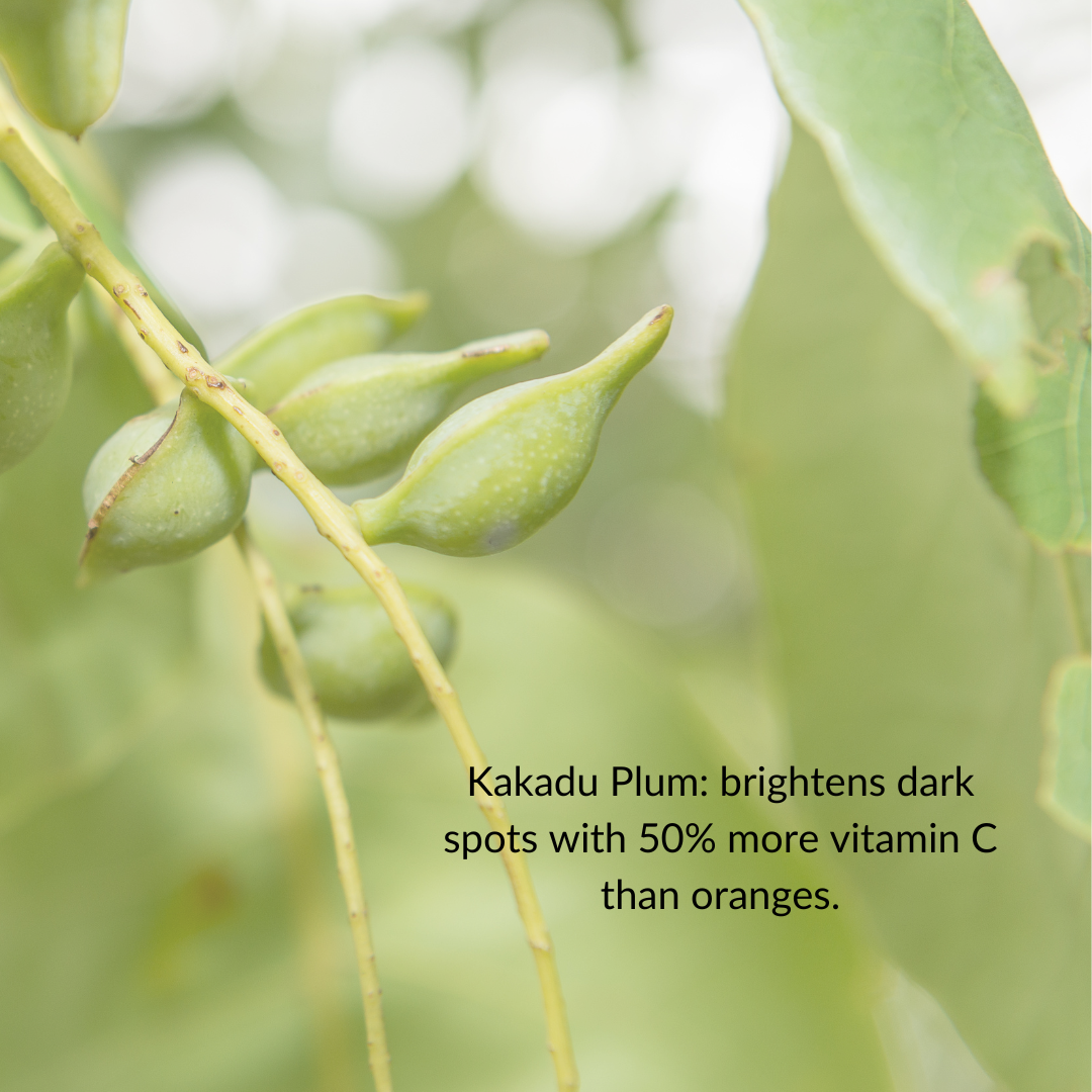 'Everywhere' Antioxidant Oil Face + Body + Hair
